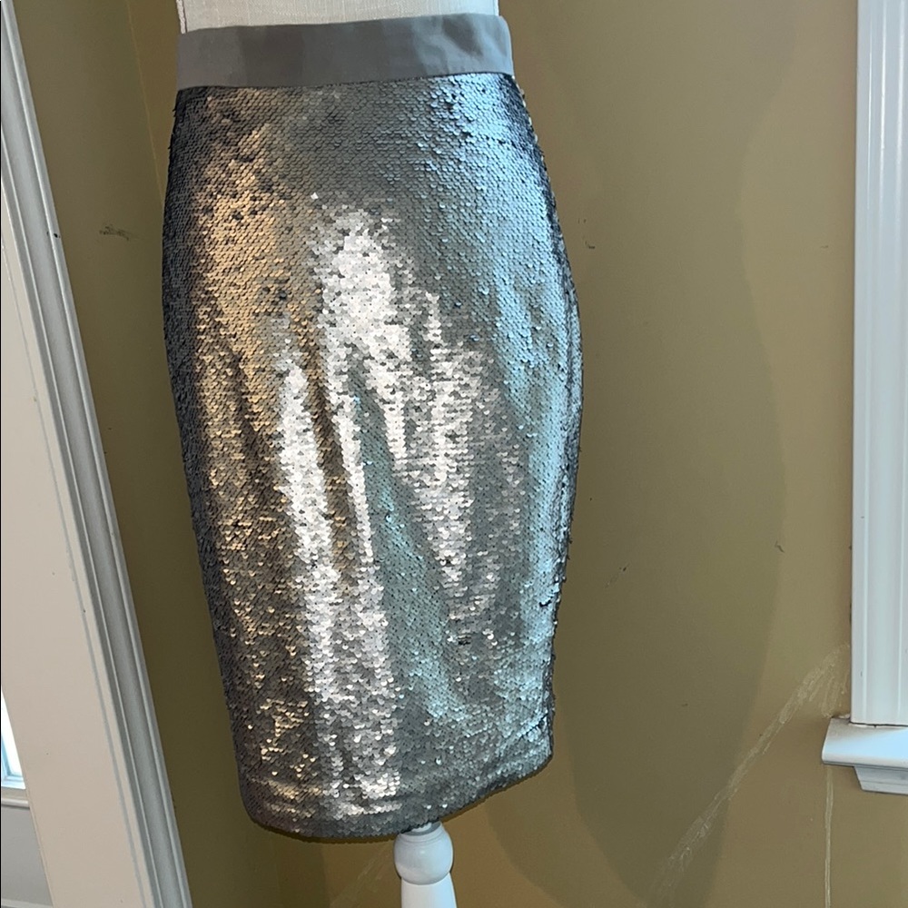 Banana Republic Silver Sequin Cocktail Pencil Skirt, Size Petite 2